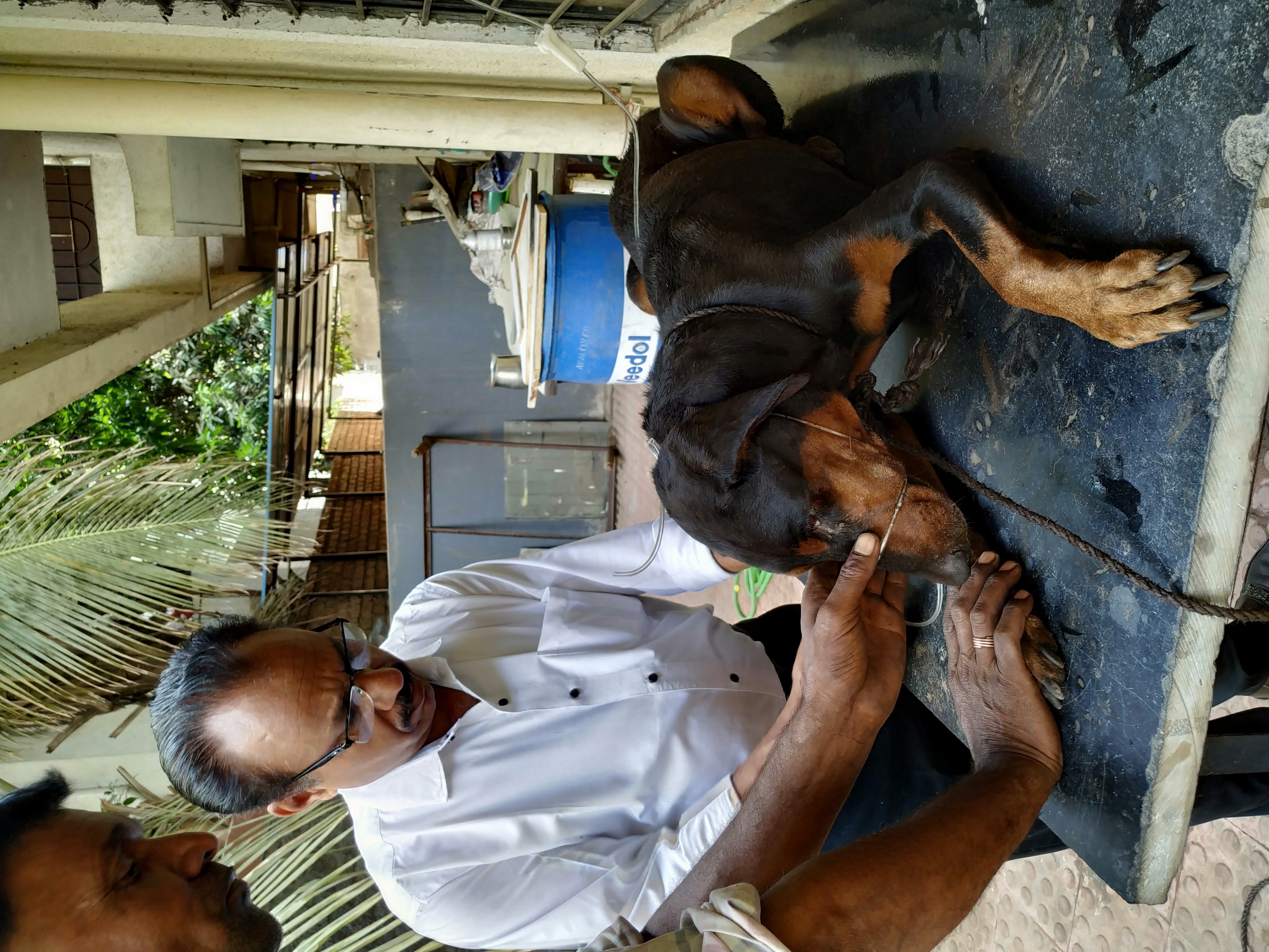 Sarvadnya Pet Care Unit veterinary clinic, Pune